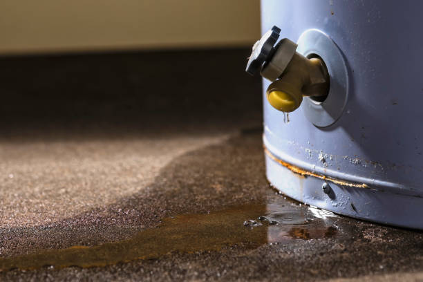 Best Flooded house restoration  in Snowflake, AZ