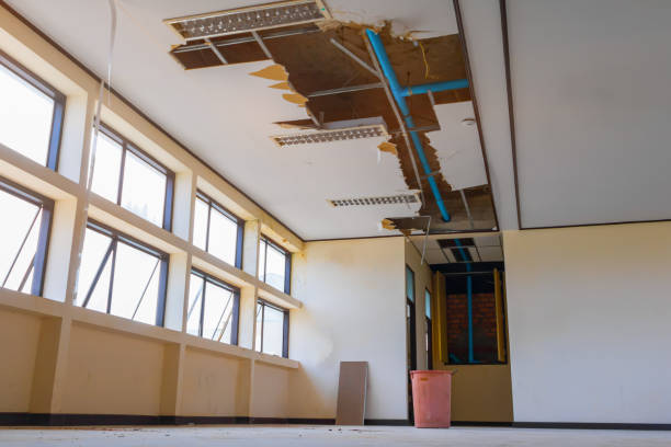 Best 24-hour water damage restoration  in Snowflake, AZ