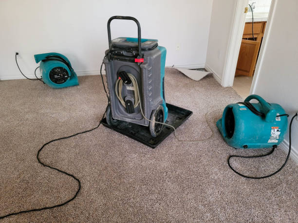 Best Flooded house restoration  in Snowflake, AZ