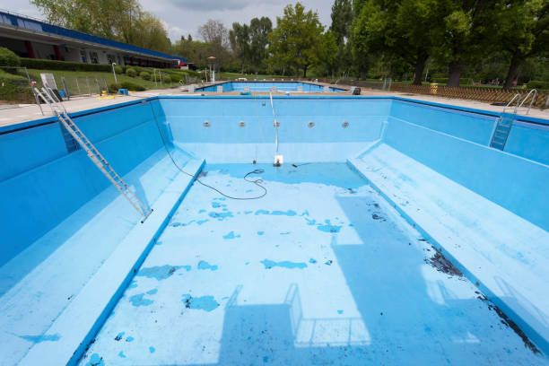 Best Flood damage cleanup  in Snowflake, AZ