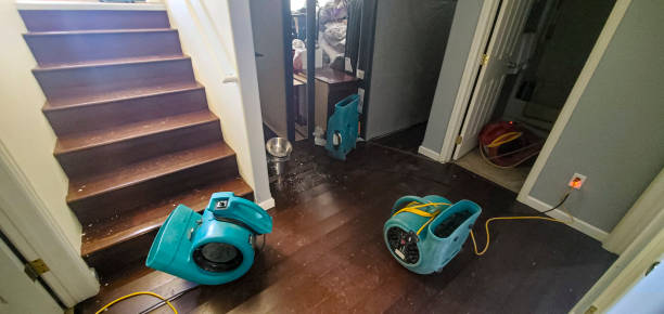 Best Water damage contractors near me  in Snowflake, AZ
