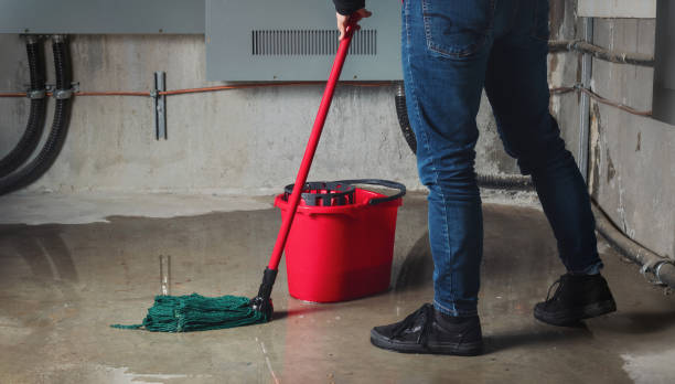 Best Ceiling water damage repair  in Snowflake, AZ