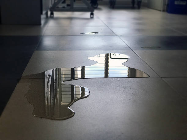 Best Carpet water damage restoration  in Snowflake, AZ