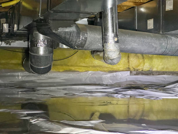Best Mold removal after water damage  in Snowflake, AZ