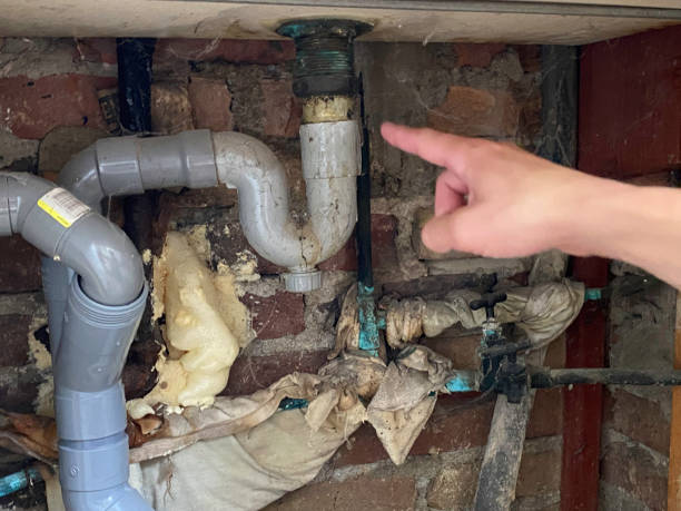 Best Basement water damage restoration  in Snowflake, AZ
