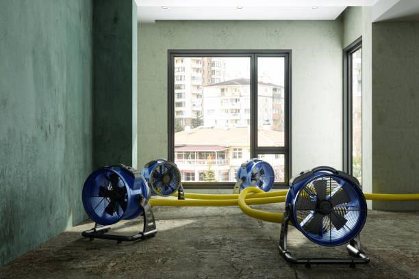 Best Water damage restoration near me  in Snowflake, AZ